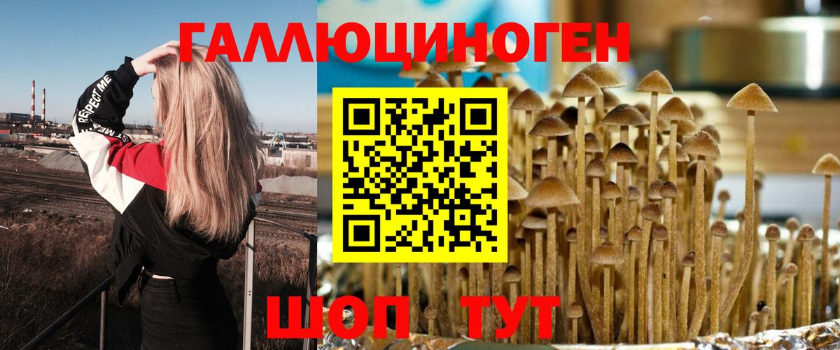 где купить   Вход с VPN  Псилоцибиновые грибы Cubensis  Горно-Алтайск  Псилоцибиновые грибы MAGIC MUSHROOMS 
