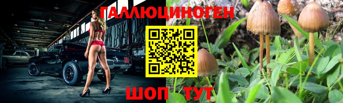 Псилоцибиновые грибы ЛСД Горно-Алтайск